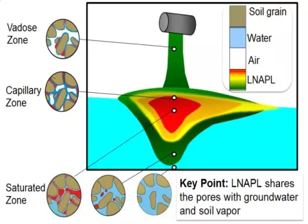 LNAPL Distribution 